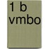 1 B Vmbo