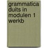 Grammatica duits in modulen 1 werkb