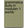Grammatica duits in modulen 1 werkb door Stegeman
