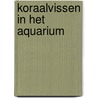 Koraalvissen in het aquarium by Neugebauer