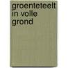 Groenteteelt in volle grond door Hendrikx