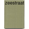 Zeestraat door Huygens