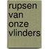 Rupsen van onze vlinders