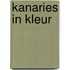 Kanaries in kleur