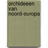 Orchideeen van noord-europa