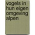 Vogels in hun eigen omgeving alpen