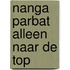 Nanga parbat alleen naar de top