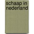 Schaap in nederland