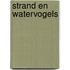 Strand en watervogels