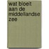 Wat bloeit aan de middellandse zee