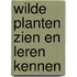 Wilde planten zien en leren kennen