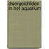 Dwergcichliden in het aquarium