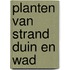 Planten van strand duin en wad