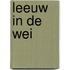 Leeuw in de wei