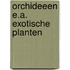 Orchideeen e.a. exotische planten