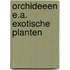 Orchideeen e.a. exotische planten