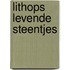 Lithops levende steentjes
