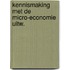 Kennismaking met de micro-economie uitw.