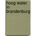 Hoog water in brandenburg