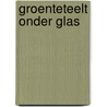 Groenteteelt onder glas door Jan Sanders