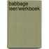 Babbage leer/werkboek