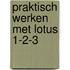 Praktisch werken met lotus 1-2-3