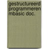 Gestructureerd programmeren mbasic doc. by Marije Wouters