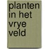 Planten in het vrye veld