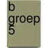 B groep 5