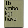 1b Vmbo kgt havo door E. Meijvogel
