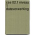 CSE 02.1 Niveau 1 Dataverwerking