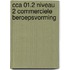 CCA 01.2 Niveau 2 Commerciele beroepsvorming