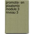 Promotie- en plaatsmix module 3 niveau 3