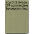 CCA 01.3 Niveau 3/4 Commerciele beroepsvorming