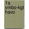 1a Vmbo-kgt havo door E. Meijvogel