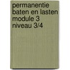 Permanentie baten en lasten module 3 niveau 3/4 by P. Gabriels
