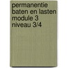 Permanentie baten en lasten module 3 niveau 3/4 door P. Gabriels