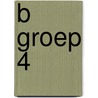 B groep 4 door S. Huitema