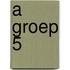 A groep 5