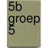 5B groep 5