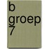 B groep 7