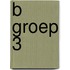 B groep 3
