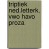 Triptiek ned.letterk. vwo havo proza door Groot