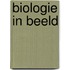 Biologie in beeld