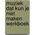 Muziek dat kun je niet maken werkboek
