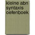 Kleine abn syntaxis oefenboek