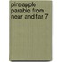 Pineapple parable from near and far 7