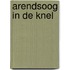 Arendsoog in de knel