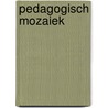Pedagogisch mozaiek by Unknown