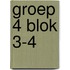 groep 4 blok 3-4